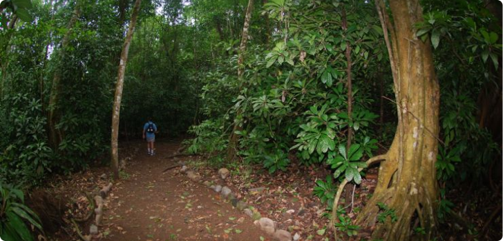 Parque Nacional Carara